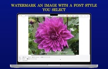 Mac Best Fonts 6