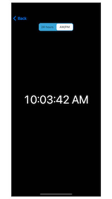 iOS Swift iPhone iPad ClockMonkey