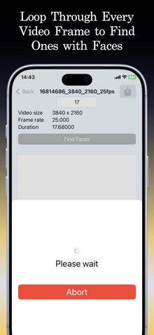 iPhone iPad iLook4Faces 3