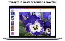 Mac application Split 1-2-3